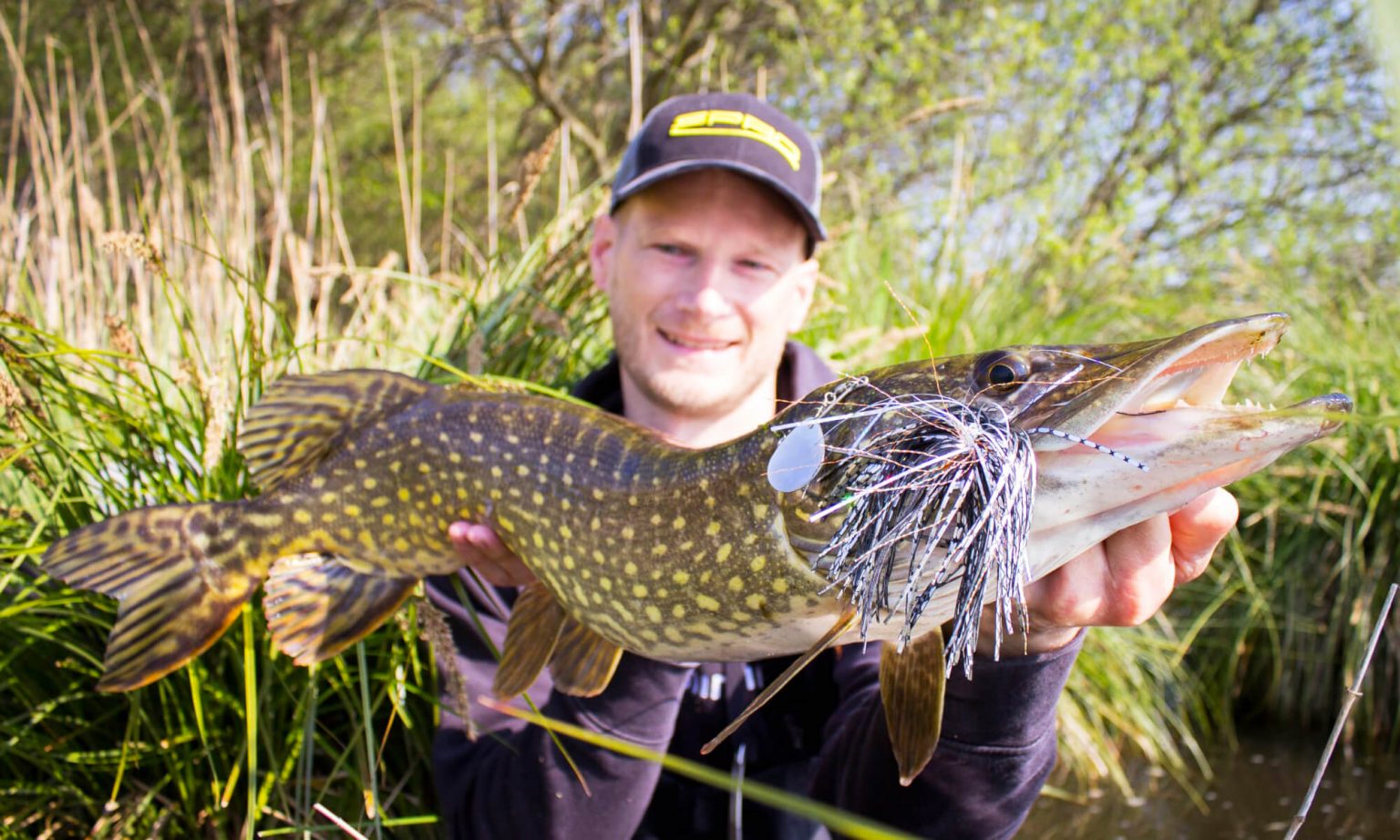 Spro Iris Ambush Spinnerbait 28g 18cm – Leurre De Pêche Firetiger, Neuf, Modèle Ambush