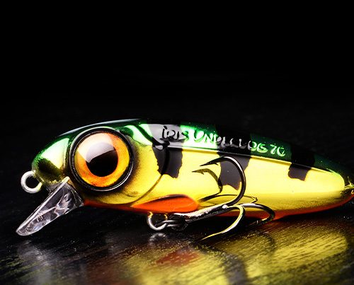 Image vedette - Iris Underdog