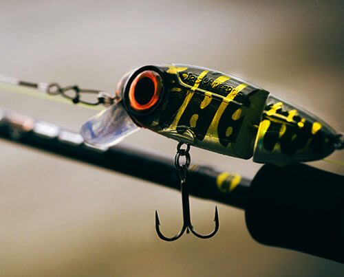 Featured_Image_Iris_Underdog_JTD