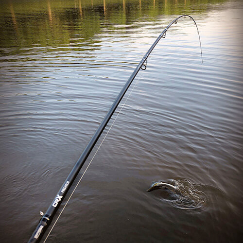 Featured Image - CRX Rods