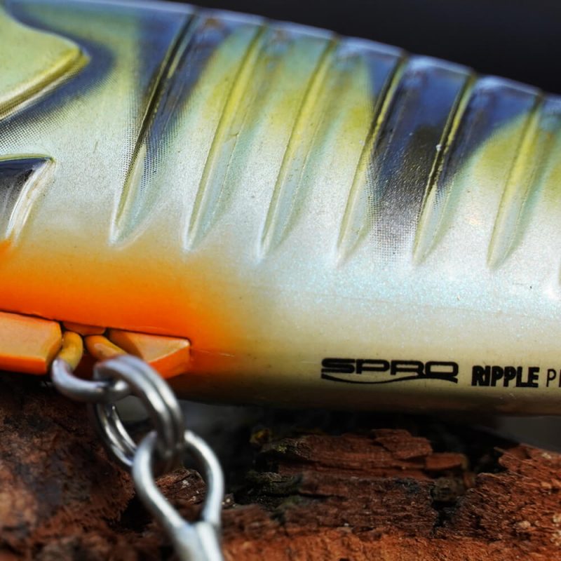 Wobbler SPRO Ripple Profighter 145 DD 14,5cm 42g Affondante 6 Colori