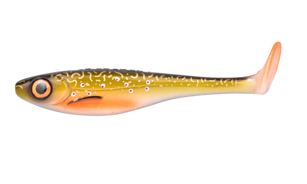 Colours_Short_The_Boss_Northern_Pike