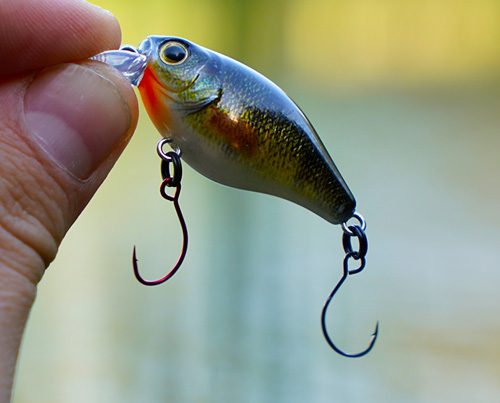 Image_en_vedette_Ikiru_Mini_Crank_38F_SL_SH