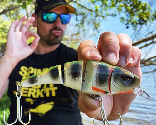 Image_vedette_Pikefighter_Triple_Jointed_145