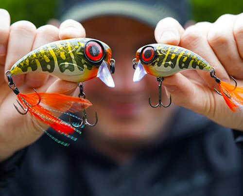 Image_vedette_Fat_Iris_60_80