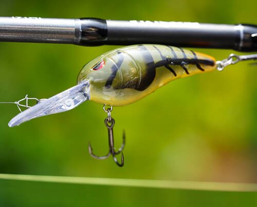 Image_en_vedette_États-Unis_Rkcrawler_55