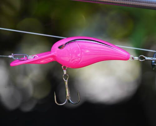 Image_en_vedette_États-Unis_Rkstar_55