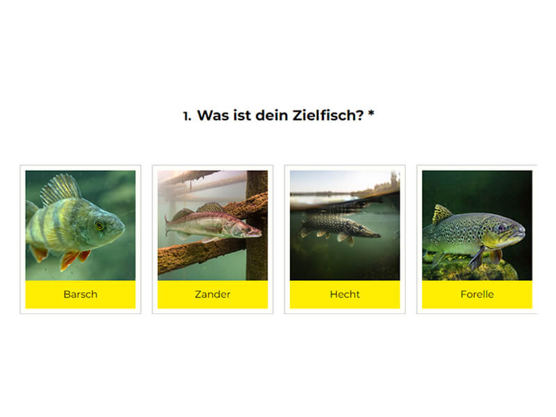 Blog_Images_Raubfisch_Guide_03
