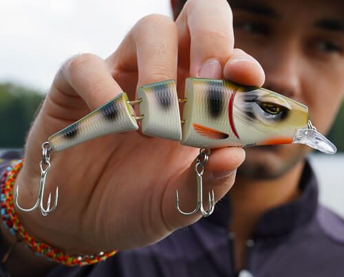 Image_vedette_Pike_Fighter_110_SL