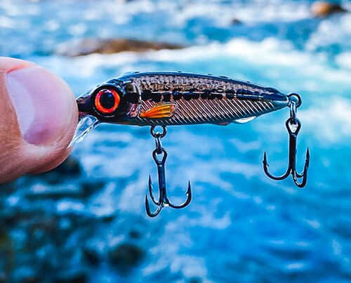 Image_vedette_Iris_The_Kid