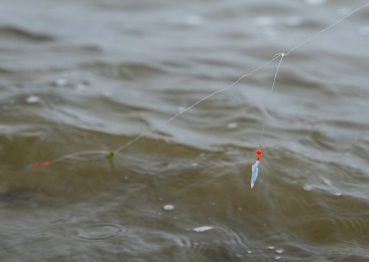 Herring Season Rigs Produkte SPRO Deutschland