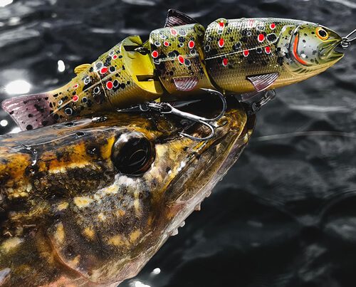 Featured_Image_BBZ_1_Swimbait_UV