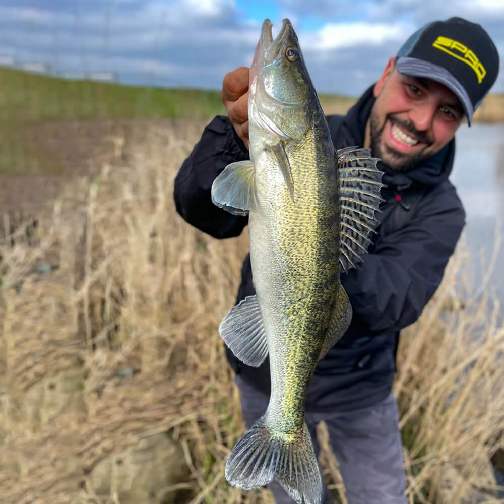 Claudio_Munno_SPRO_Team