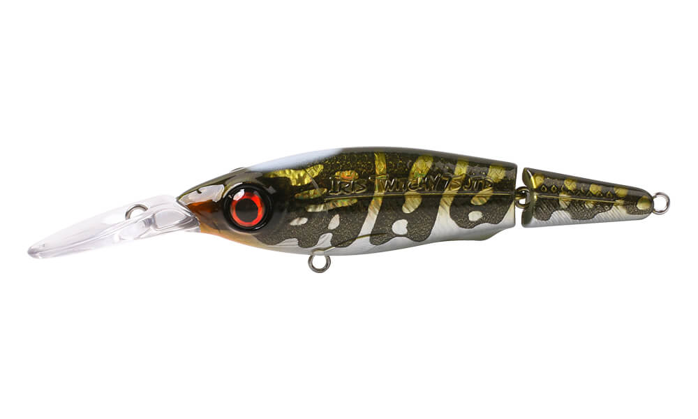 Colours_Iris_Twitchy_JTD_Northern Pike