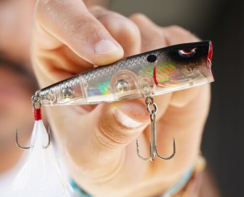 Image_en_vedette_États-Unis_E_Pop_80