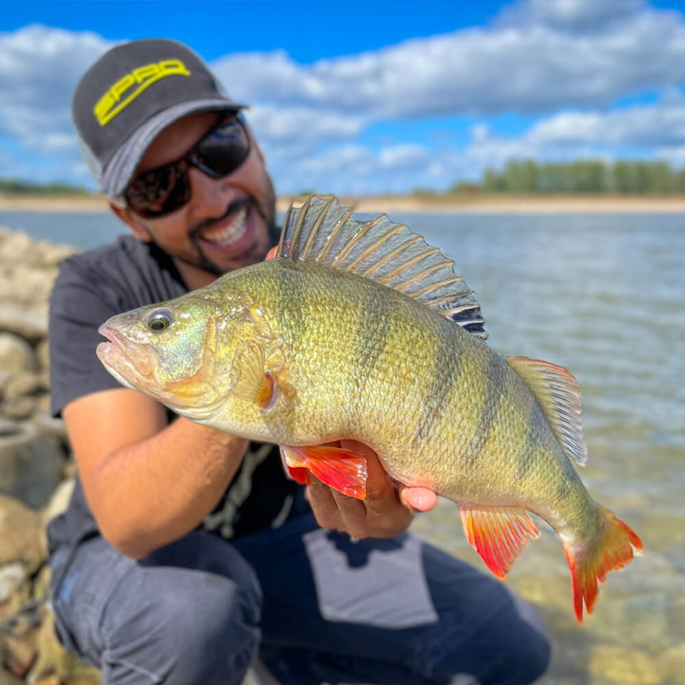 Salah_Eddine_El_Barbouchi_SPRO_Team