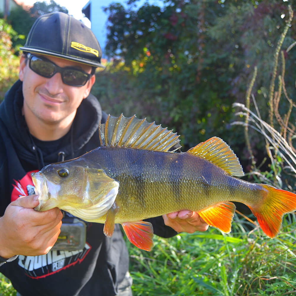 Simon_Gottschall_SPRO_Team