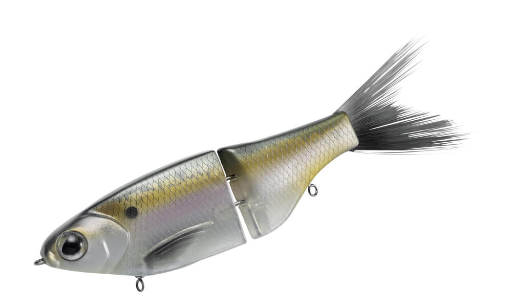 Colours_KGB_Series_Gizzard Shad