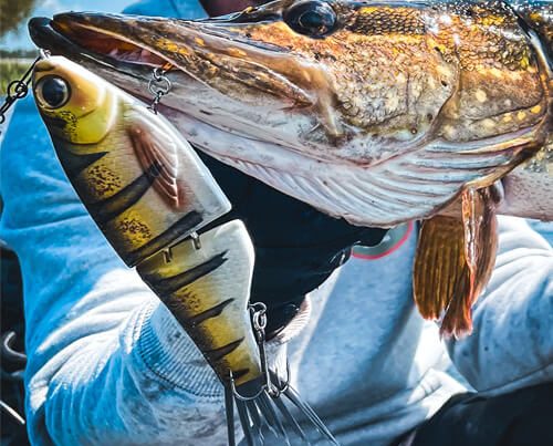 Image_vedette_Série_KGB