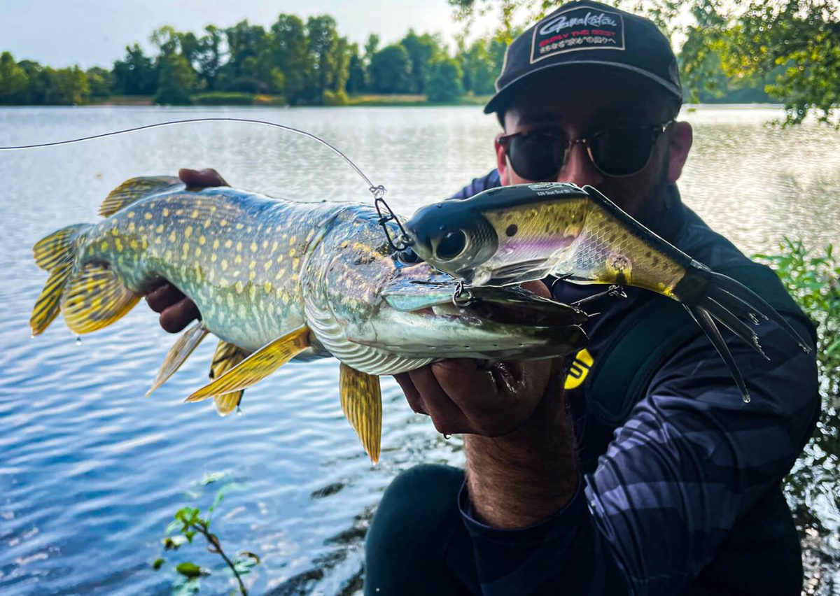 Se&ntilde;uelo Duro Spro KGB Chad Shad 180 - Leurre De La P&ecirc;che