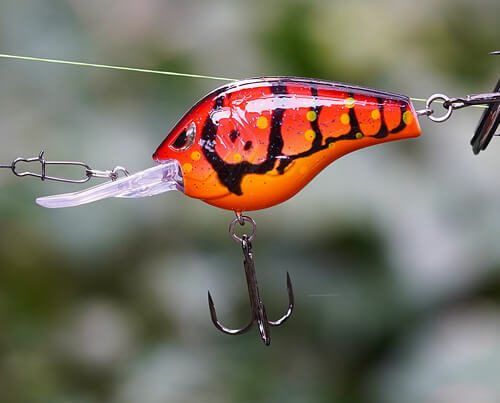 Image_vedette_Fat_Papa_55