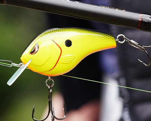 Image_vedette_Fat_Papa_SB_70