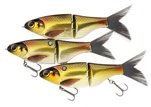 1440x1080_K-Rig_GoldenShiner