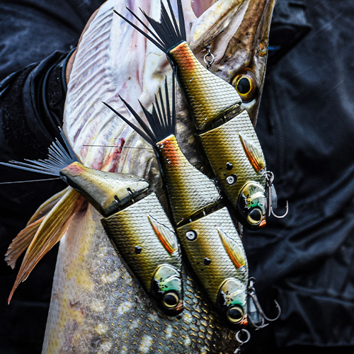 Featured_Image_K-Rig