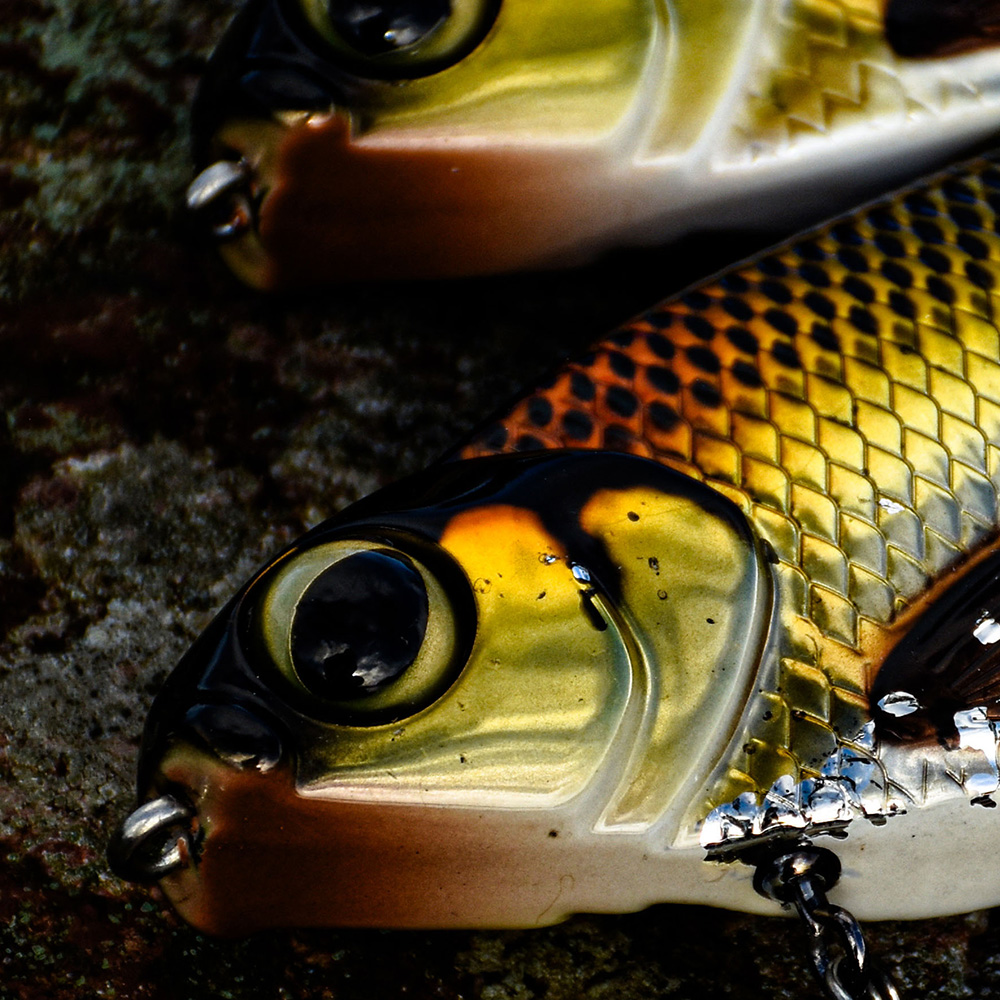 Key_Features_K-Rig_Eye